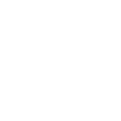 XPeng Inc. ADR logo