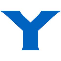 YPF Sociedad Anónima Sponsored ADR logo